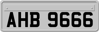AHB9666