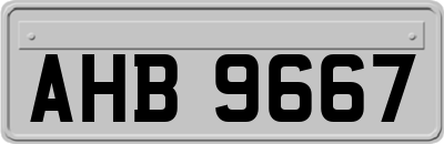AHB9667