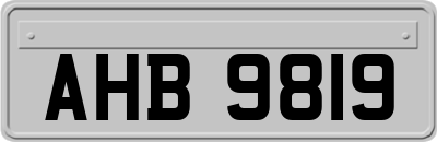 AHB9819