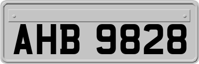 AHB9828