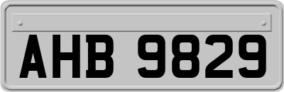AHB9829