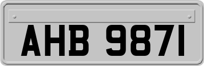 AHB9871