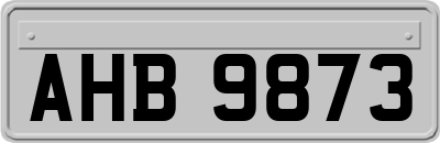 AHB9873
