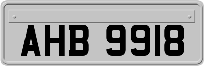 AHB9918