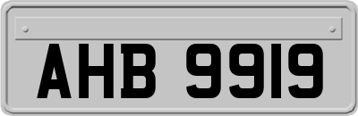 AHB9919