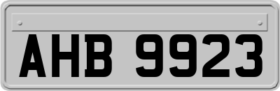 AHB9923