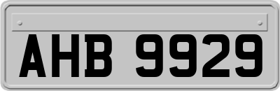 AHB9929