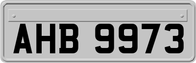 AHB9973