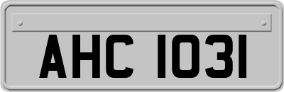 AHC1031