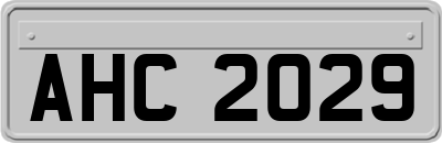 AHC2029