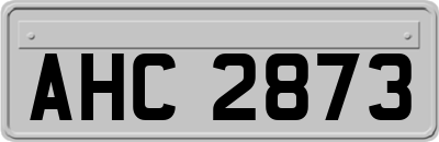 AHC2873