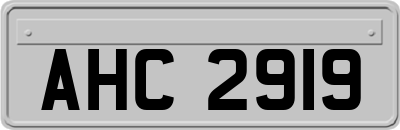 AHC2919