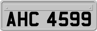 AHC4599