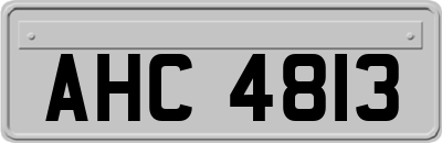 AHC4813