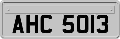 AHC5013