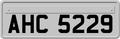 AHC5229
