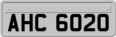 AHC6020