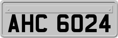AHC6024