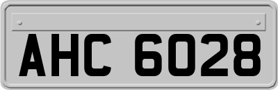 AHC6028