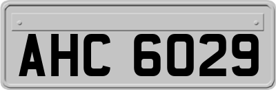 AHC6029