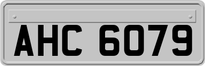 AHC6079