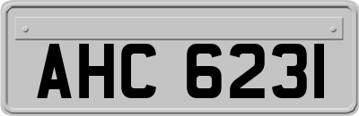 AHC6231
