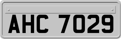AHC7029