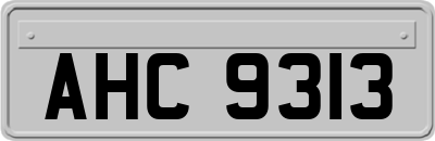 AHC9313