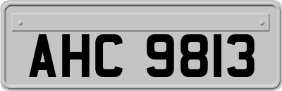 AHC9813