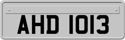 AHD1013