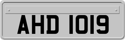 AHD1019