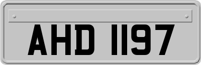 AHD1197