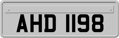 AHD1198