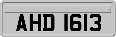 AHD1613