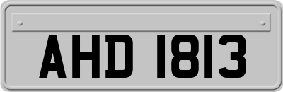 AHD1813