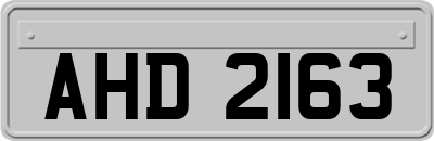 AHD2163