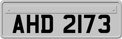 AHD2173