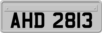 AHD2813