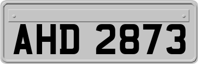 AHD2873