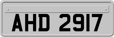 AHD2917