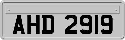 AHD2919