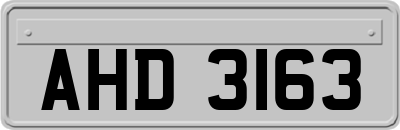 AHD3163
