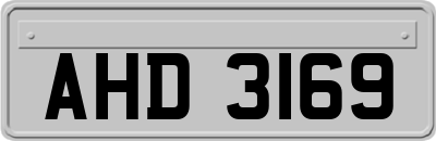 AHD3169