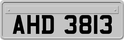 AHD3813