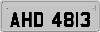 AHD4813