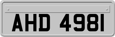 AHD4981
