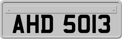 AHD5013