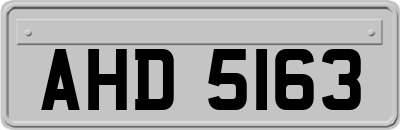 AHD5163
