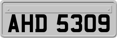 AHD5309