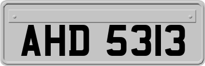 AHD5313
